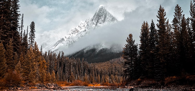 Trekking to the Himalayas